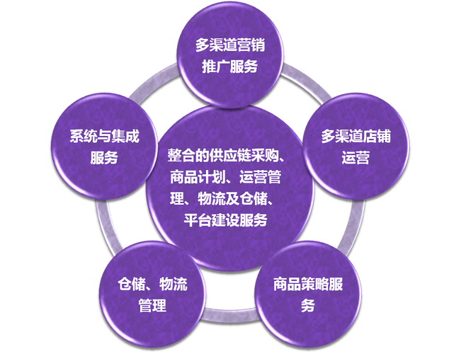 上海百胜翼商网络科技 深耕网络技术服务，赋能企业数字化转型